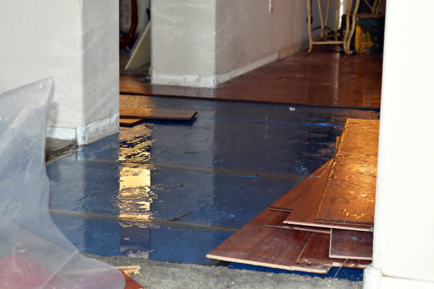 Professional Sewage Cleanup technician working in Southport, ME